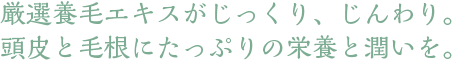 厳選養毛エキスがじっくり、じんわり。頭皮と毛根にたっぷりの栄養と潤いを。