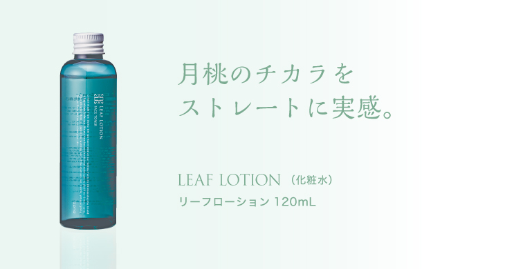 月桃のチカラをストレートに実感。 LEAF LOTION(化粧水) リーフロション120mL